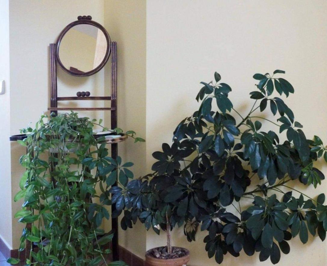 Casa Rural Betania Ξενοδοχείο Villacalabuey Εξωτερικό φωτογραφία